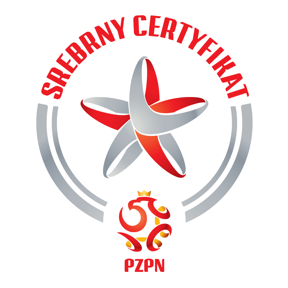 Certyfikat logotyp srebrny